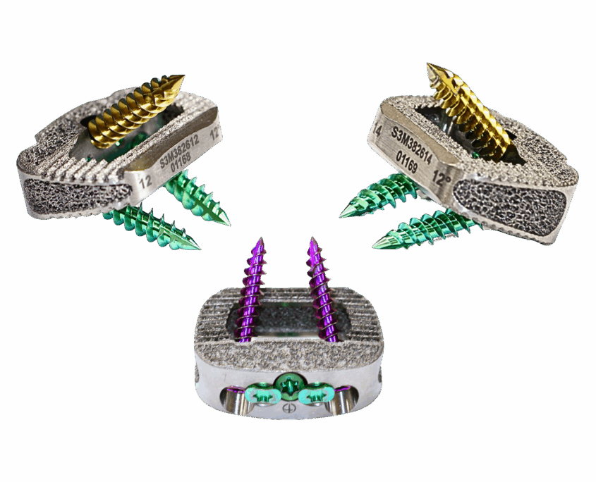 Lumbar Stand-Alone | Eminent Spine